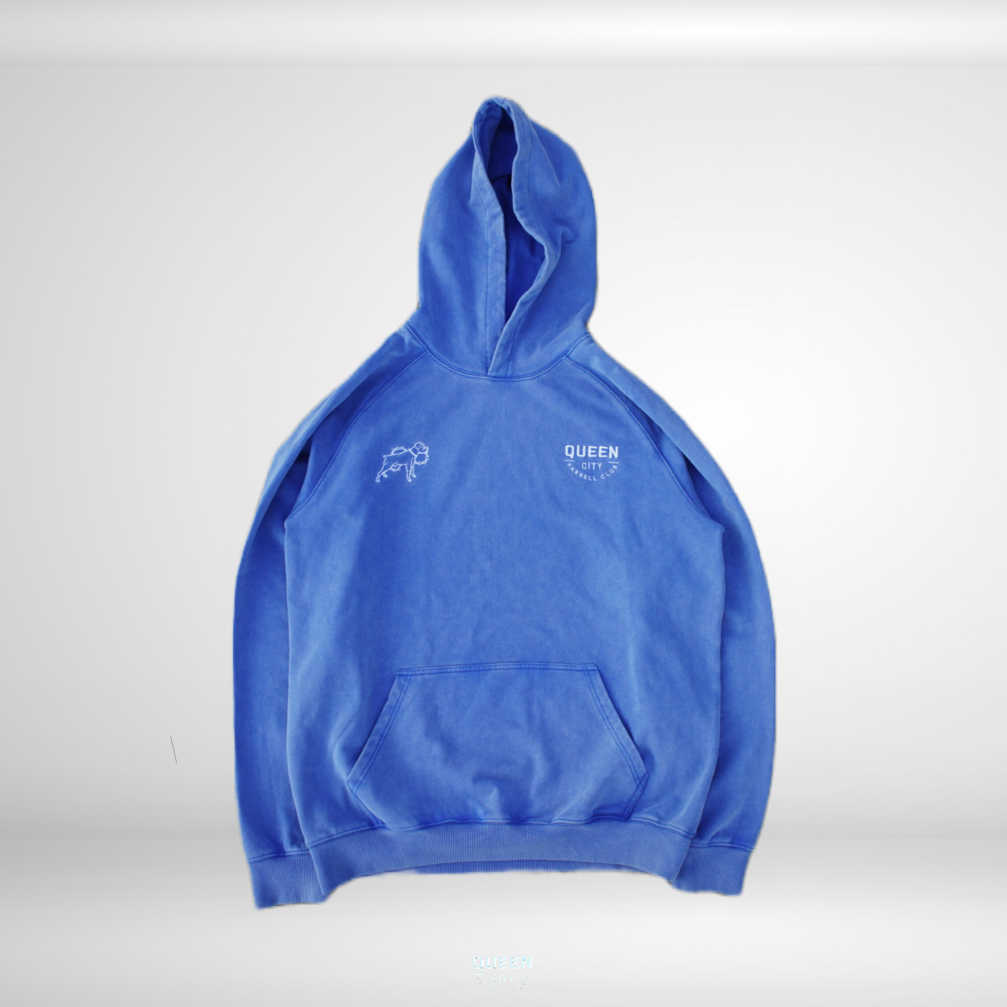 HEAVYWEIGHT VINTAGE HOODIE // POWDER BLUE