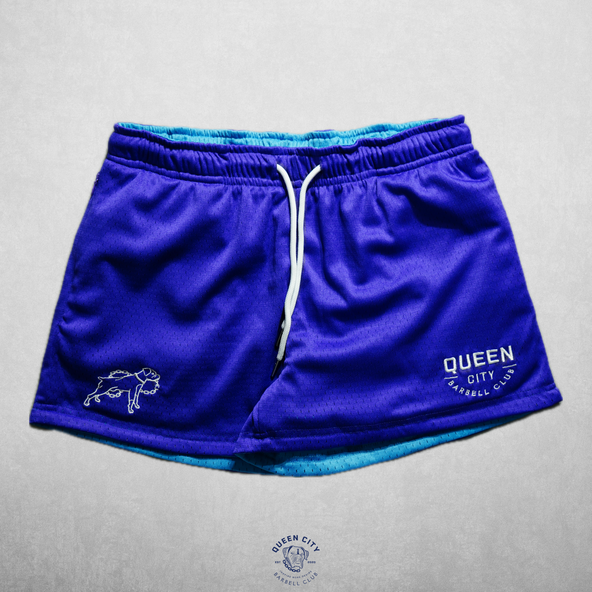 REVERSIBLE ZIPPER  LUX MESH SHORTS // PURPLE & BLUE