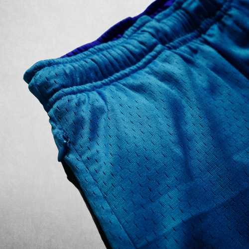 REVERSIBLE ZIPPER  LUX MESH SHORTS // PURPLE & BLUE