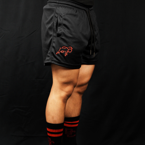 5" Inseam Athletic Mesh Shorts // Bred