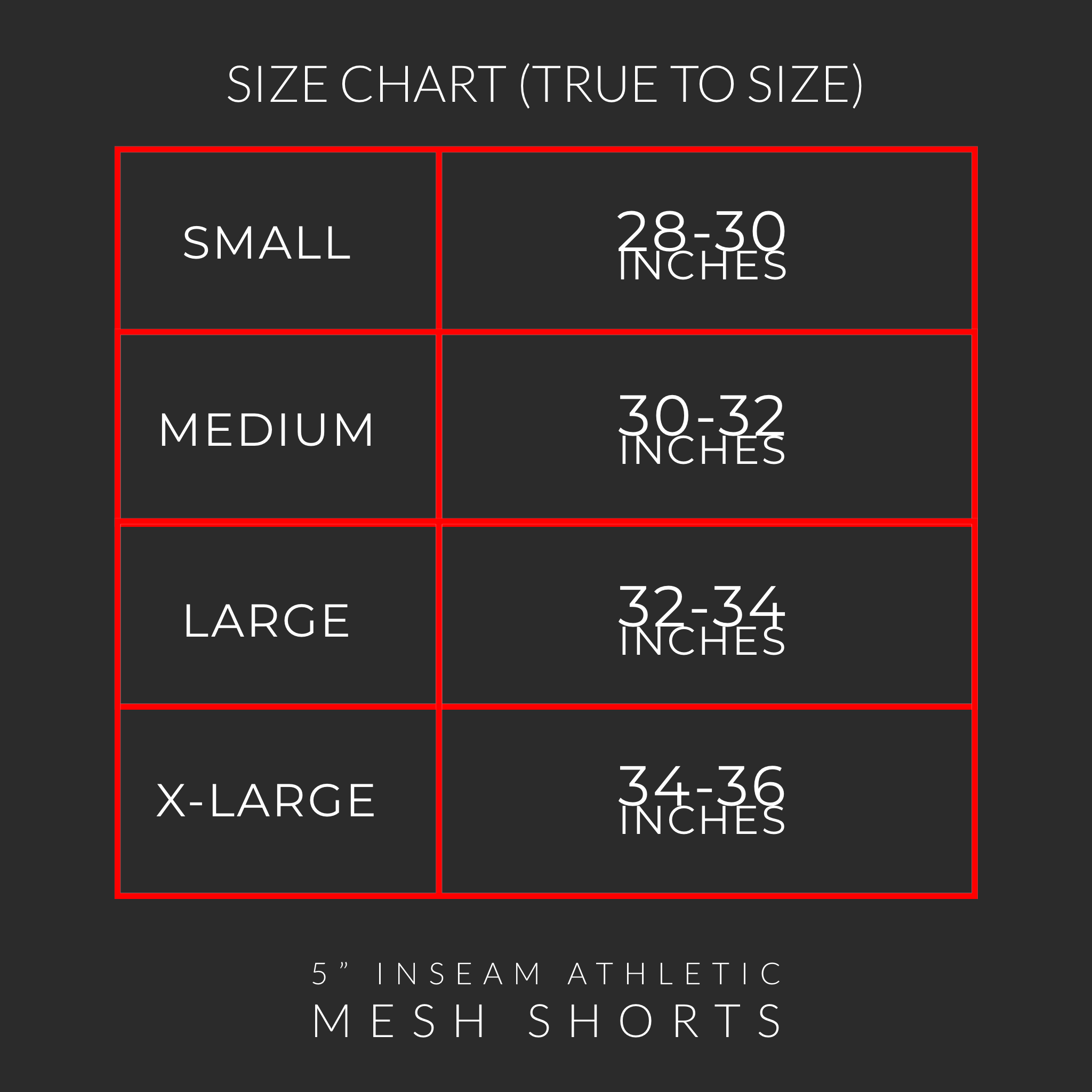 5" Inseam Athletic Mesh Shorts // Bred
