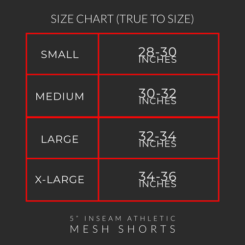 5" Inseam Athletic Mesh Shorts // Bred